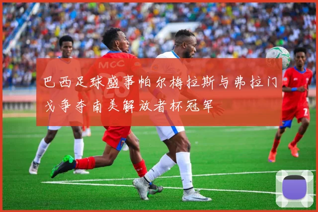 巴西足球盛事帕尔梅拉斯与弗拉门戈争夺南美解放者杯冠军