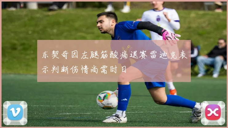 东契奇因左腿筋酸痛退赛雷迪克表示判断伤情尚需时日