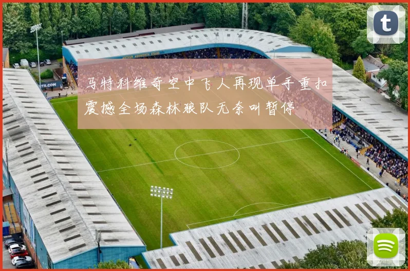 马特科维奇空中飞人再现单手重扣震撼全场森林狼队无奈叫暂停