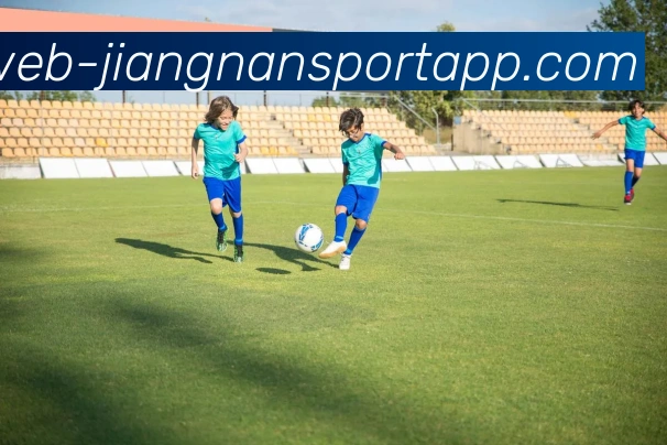 江南体育平台生态图